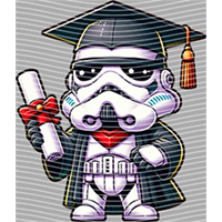 Graduate-YB 339
